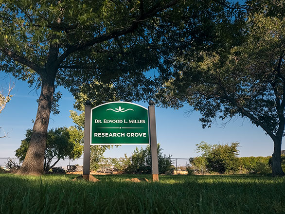 signage in the research grove