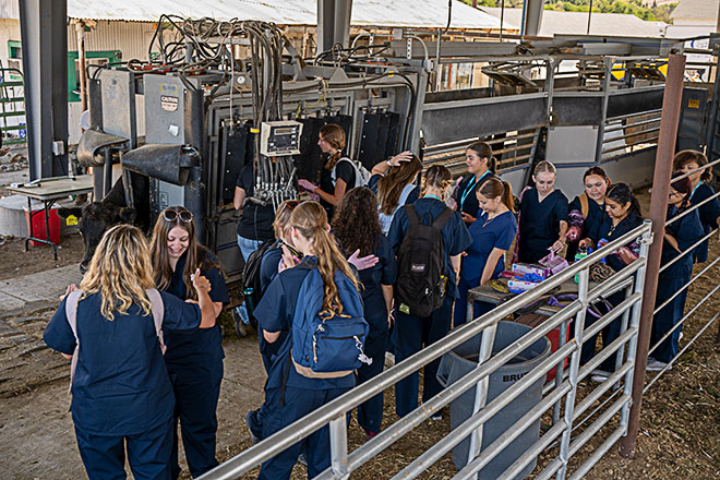 students at feedlot