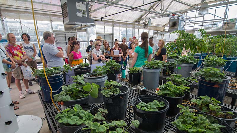 group touring greenhouse complex