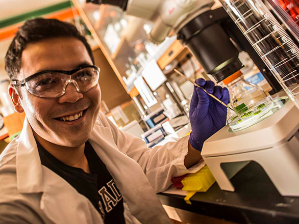 Graduate Student in lab