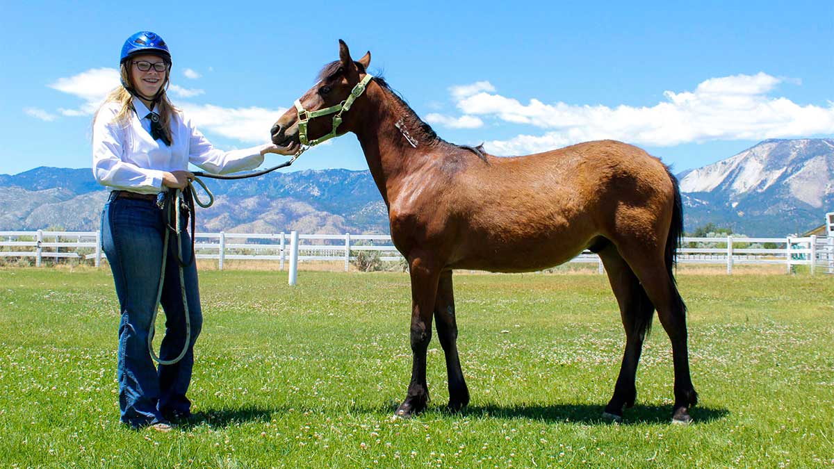 4-Her holding lead of young horse