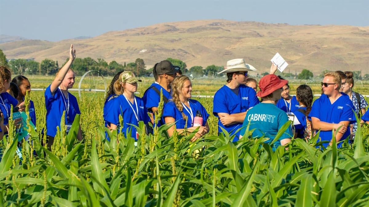 CABNRFIT students in a field