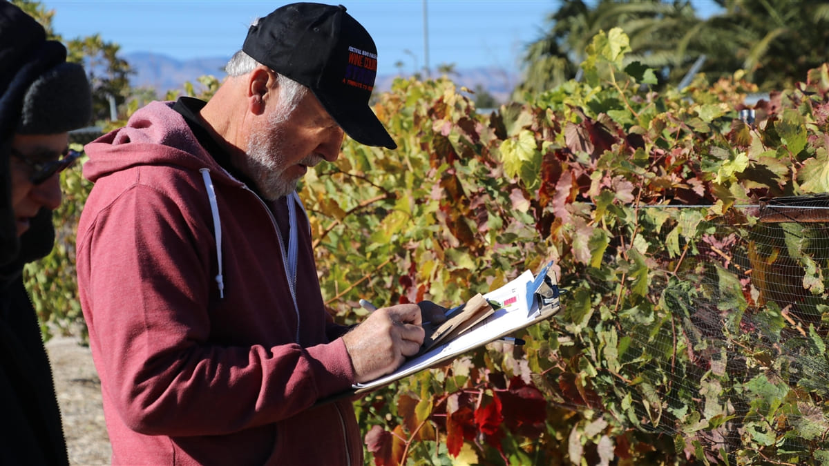 Man standing next to grapes while writing notes on clipboard
