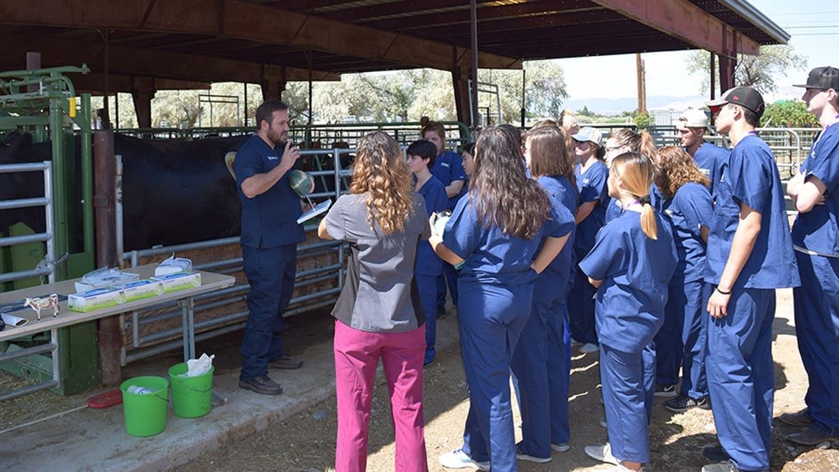 Mozart Fonseca lectures class at Main Station Farm