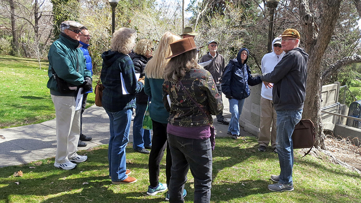 People learning to identify trees in a park