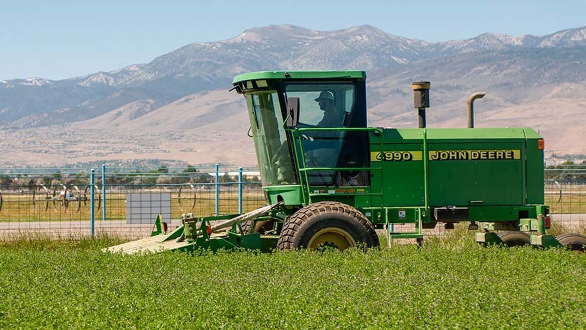 Tractor cutting alfalfa.