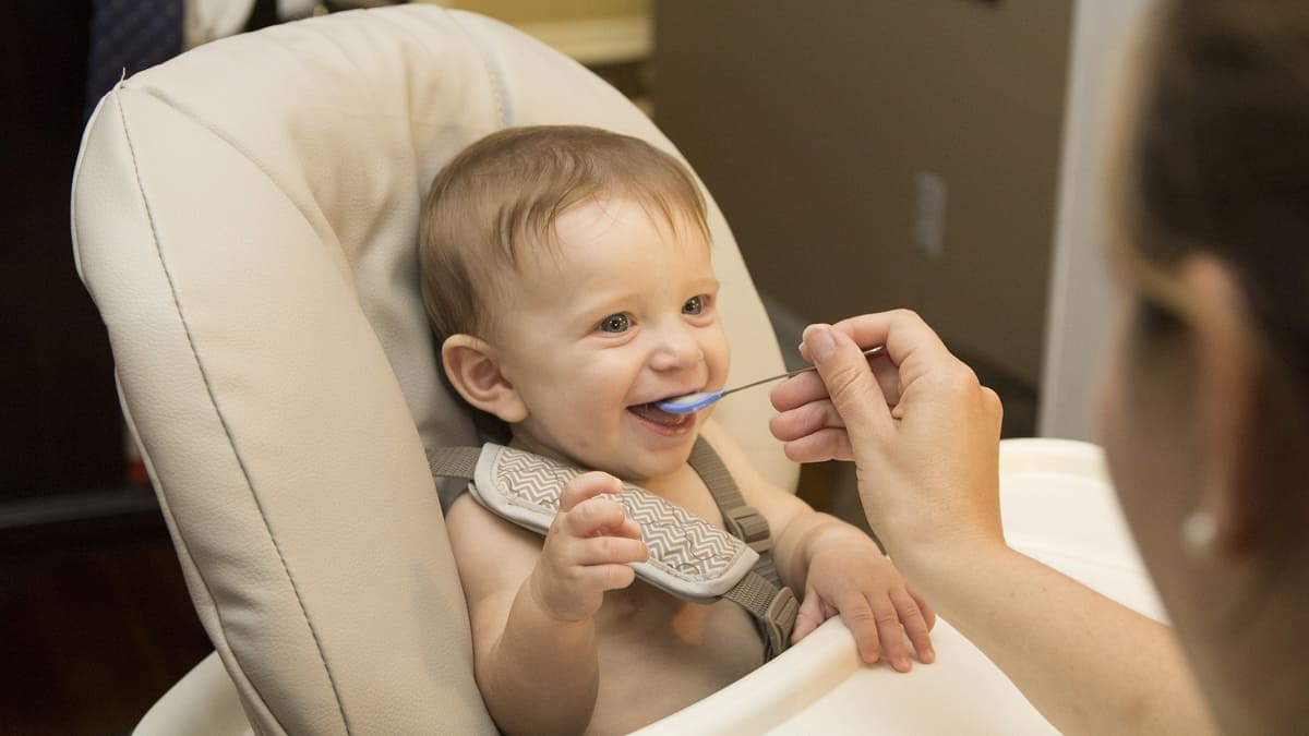 A young child in a high chair being fed a small spoonful of baby food by an adult.