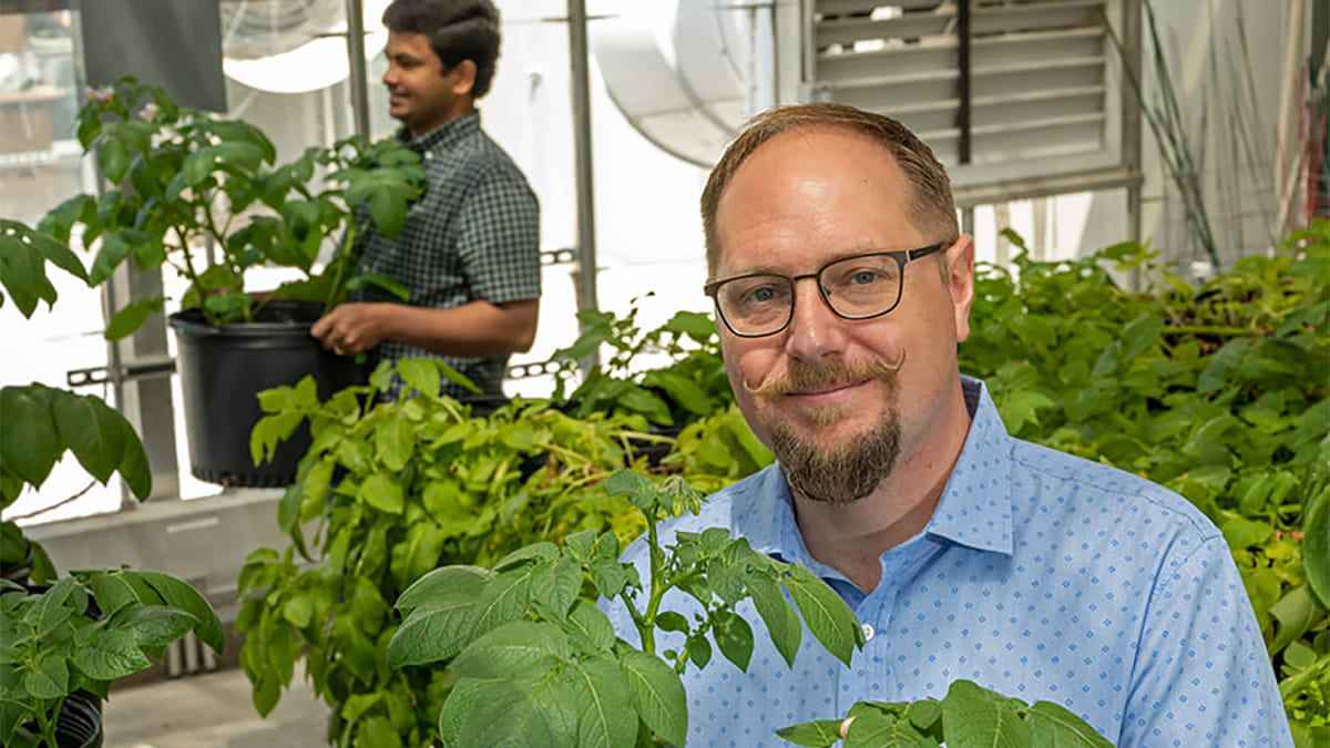 Dylan Kosma standing behind a potato plant.