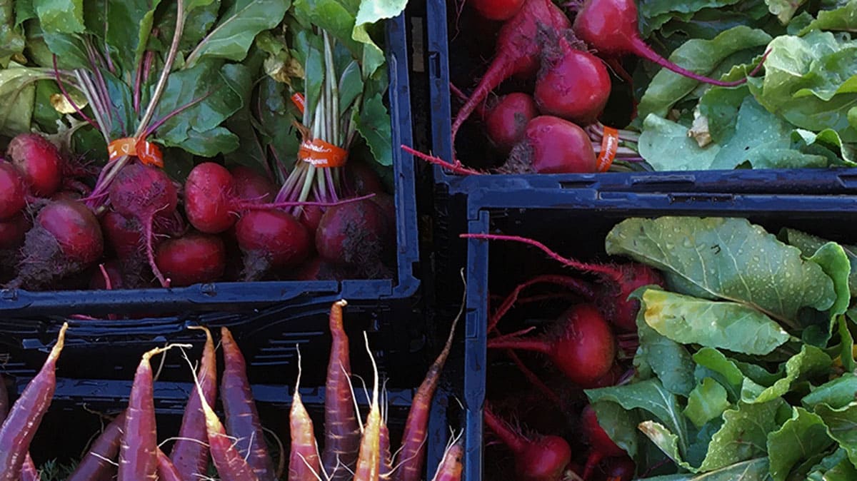 Crates of fresh produce