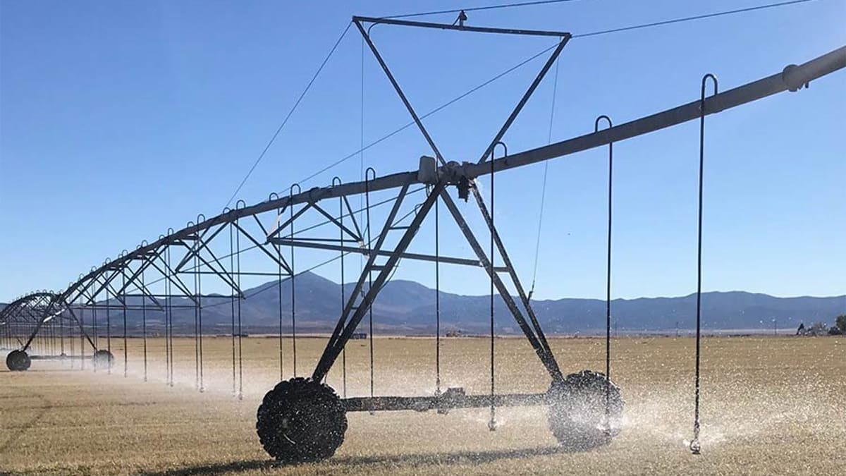Pivot irrigation system watering a field at the Great Basin Research & Extension Center in Eureka.
