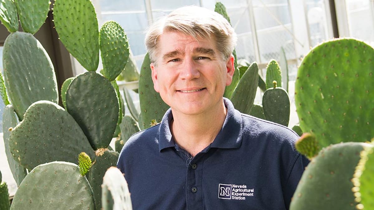 John Cushman in a cactus garden.