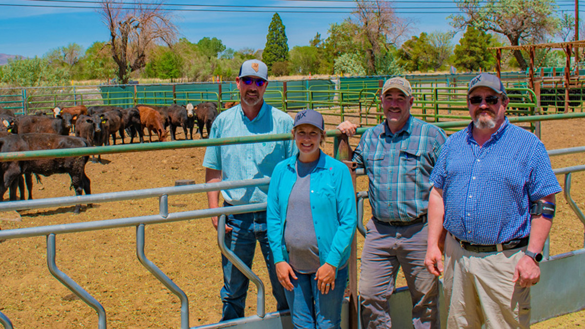 Main Station Field Lab team.