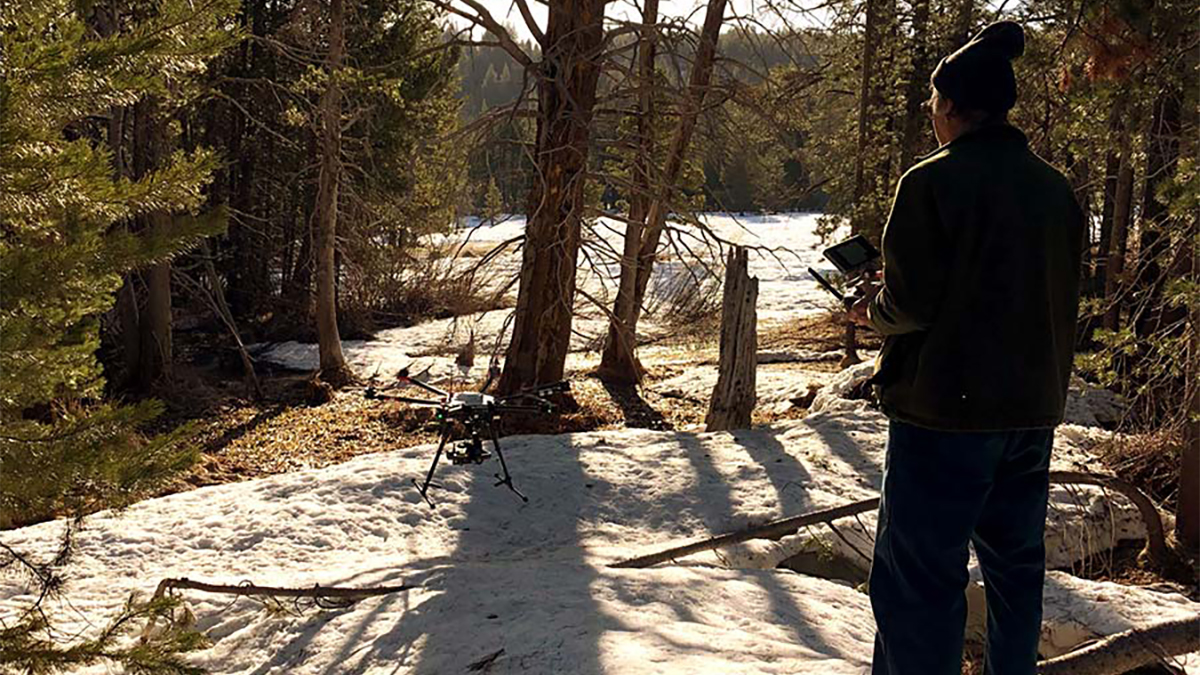 Student piloting a drone in a forest