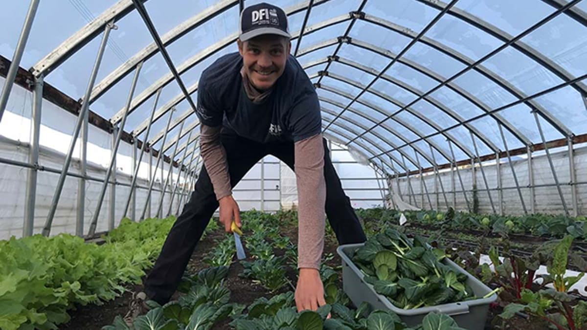 Tanner Petrilla harvesting in a hoop house.