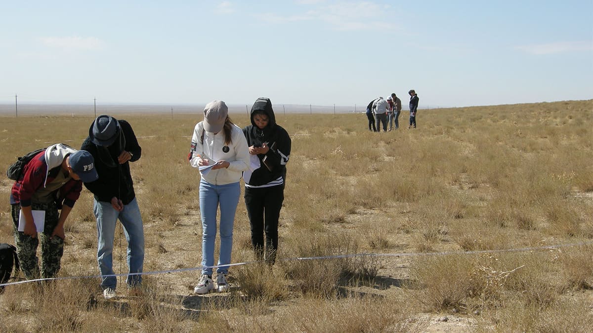 Uzbekistan grad students measuring sagebrush in a field