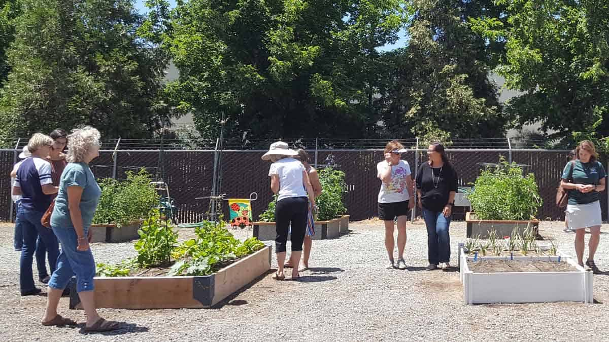 people inspecting master gardener demonstration raised garden beds