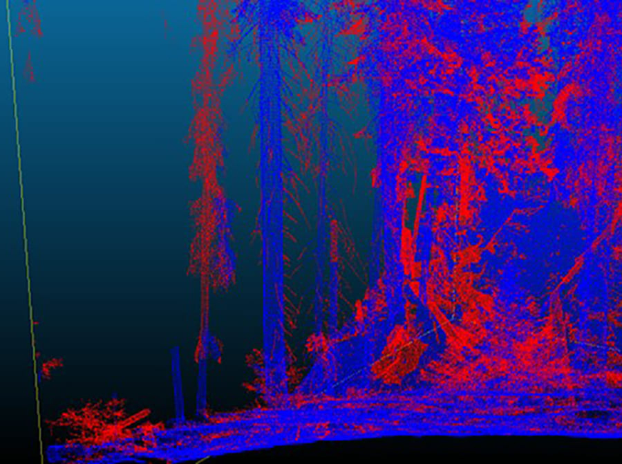 Red and blue indicates ladder fuel loss from the Ferguson fire.