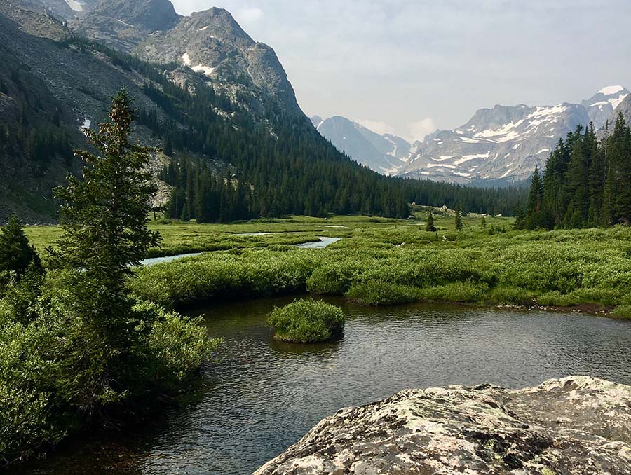 A flowing creek with green foliage and mountains behind it.