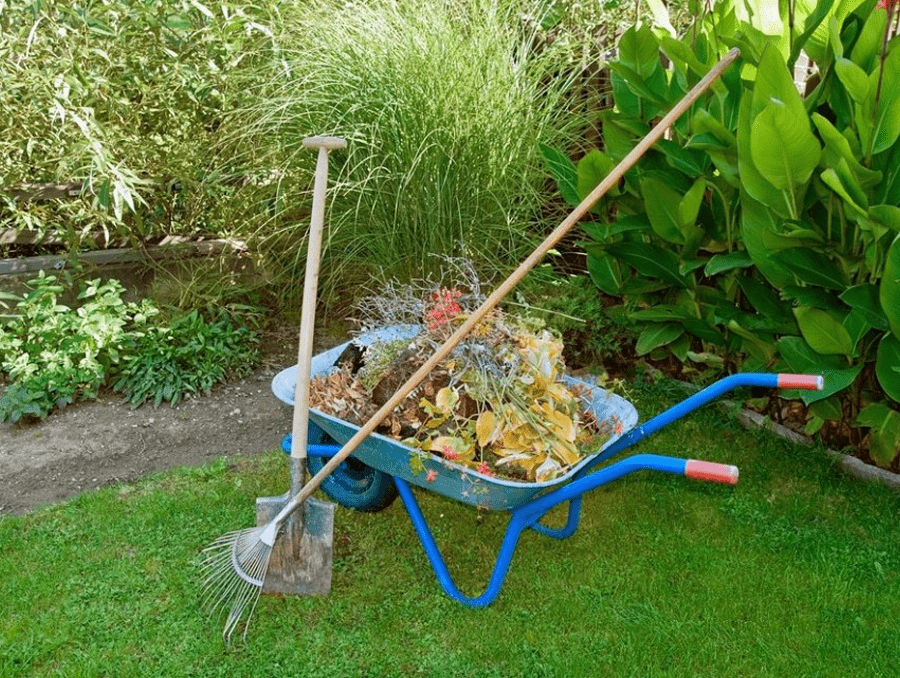 A rake and shovel leaning against a wheel barrow filled with leaves in a backyard.