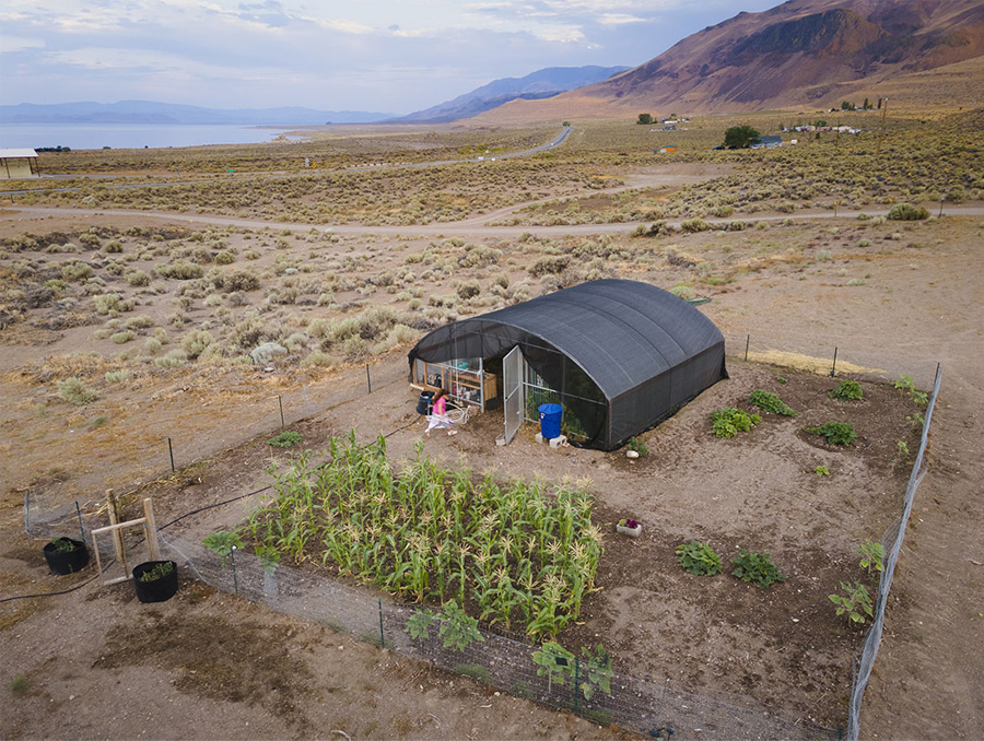 Hoop house and garden.