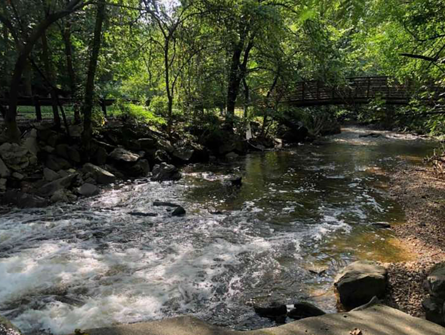 A river with water rushing along it.