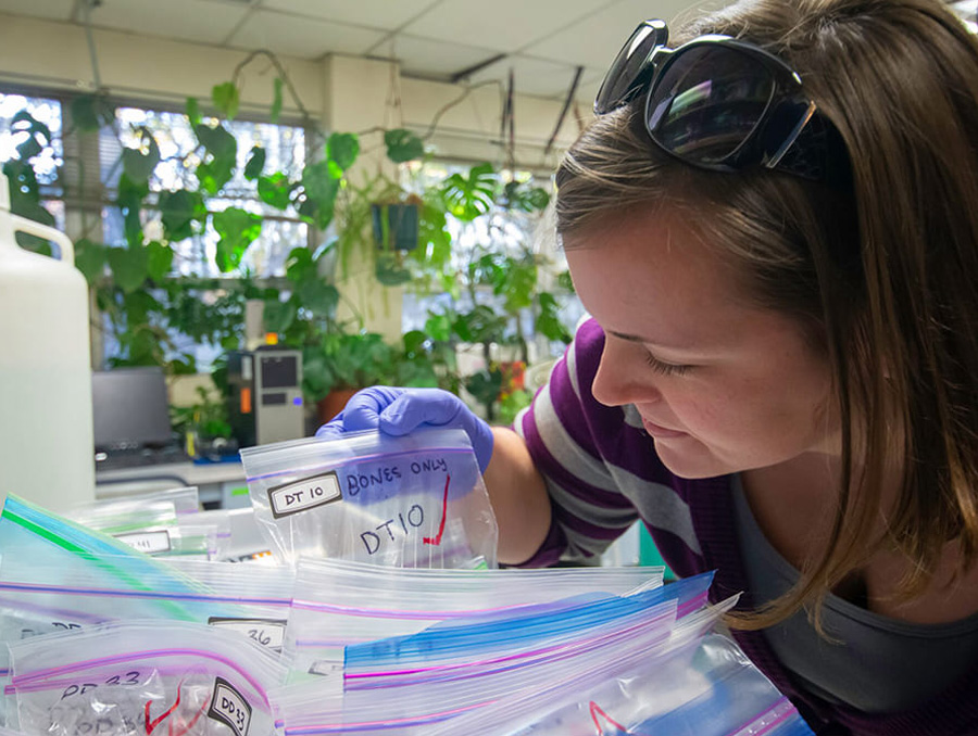 Sarrah Dunham-Cheatham inspects pet food samples.