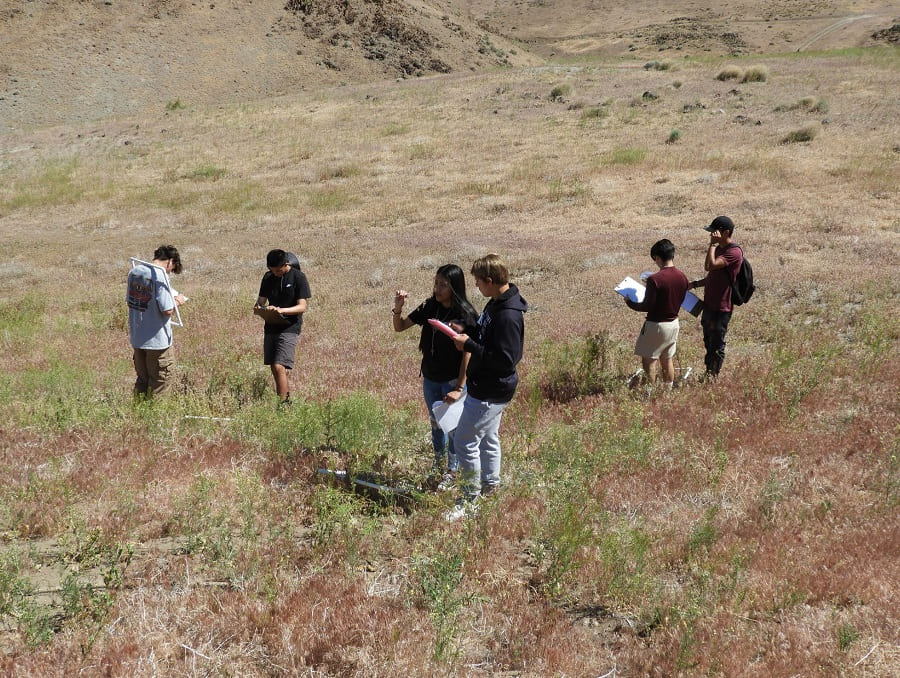 Students in a field studying vegetation.