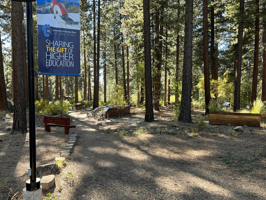 A shaded area of the North Lake Tahoe Demonstration Garden.