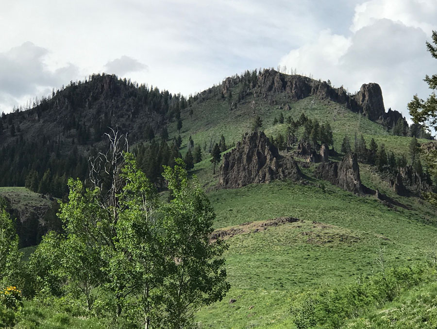 Tree covered mountains making up the Big Wood River Basin.