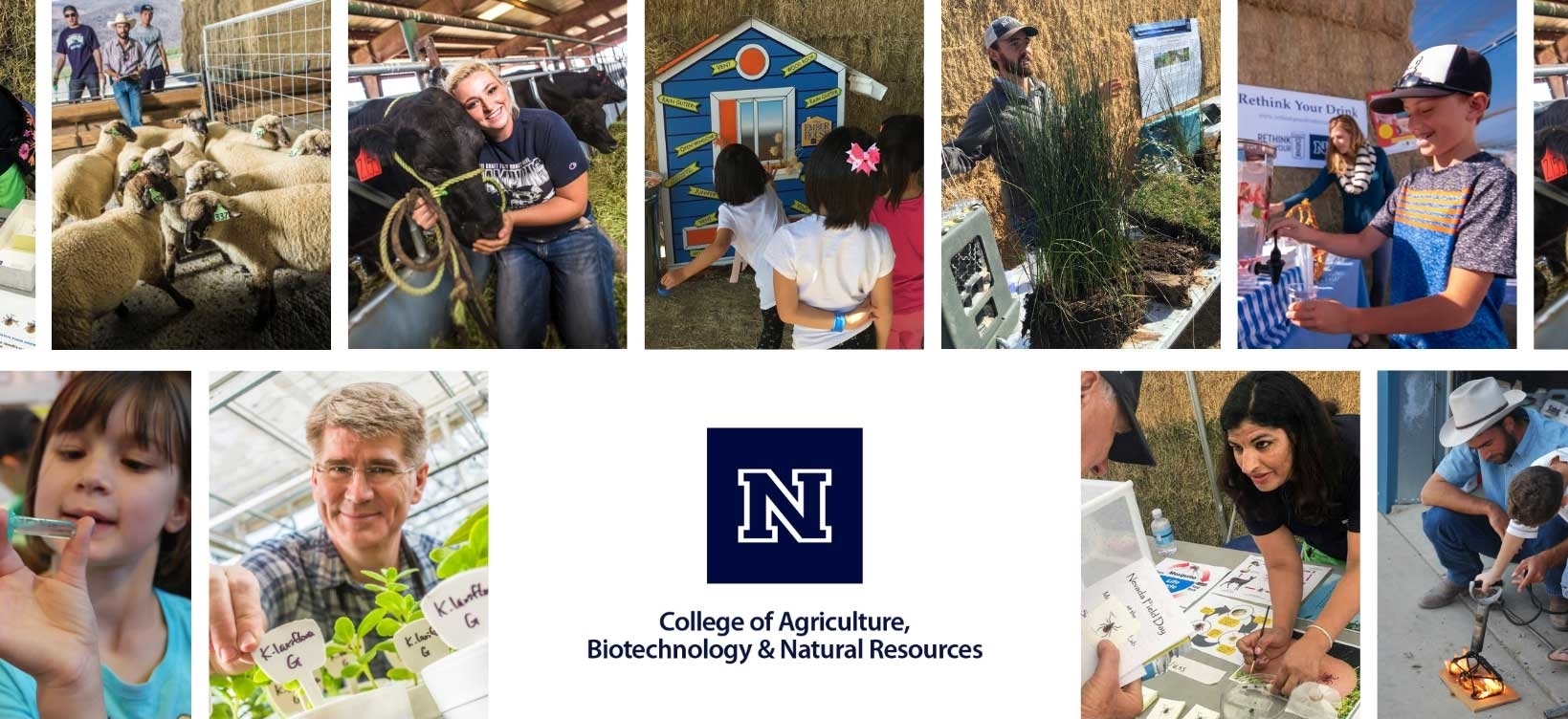A collage of activities at Field Day, including livestock and greenhouse tours; plant sales; activities for kids, such as the Ember House game, Rethink Your Drink Nevada booth of delicious beverages that are healthy for kids, branding iron crafts, and science experiments; information from researchers on crop, tick and other research; and more.