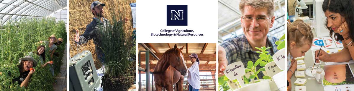 Collage of activities to explore at Field Day, including livestock and greenhouse tours; plant sales, activities for kids, information from researchers, and more.