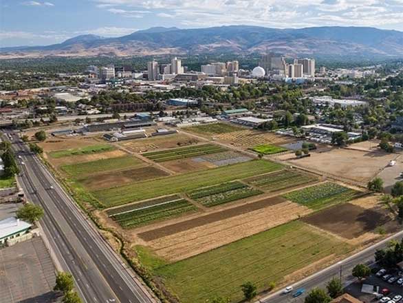 An aerial view of Desert Farming Initiative showing fields in the foreground with Reno's skyline and mountains in the background.