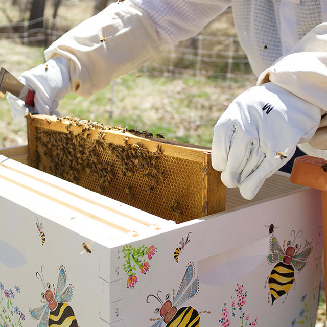 Beekeeper tending to a hive.