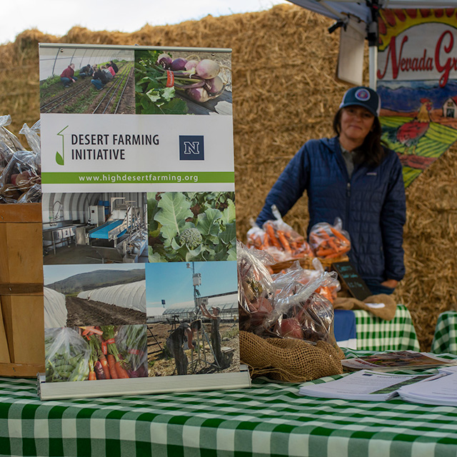Desert Farming Initiative Booth
