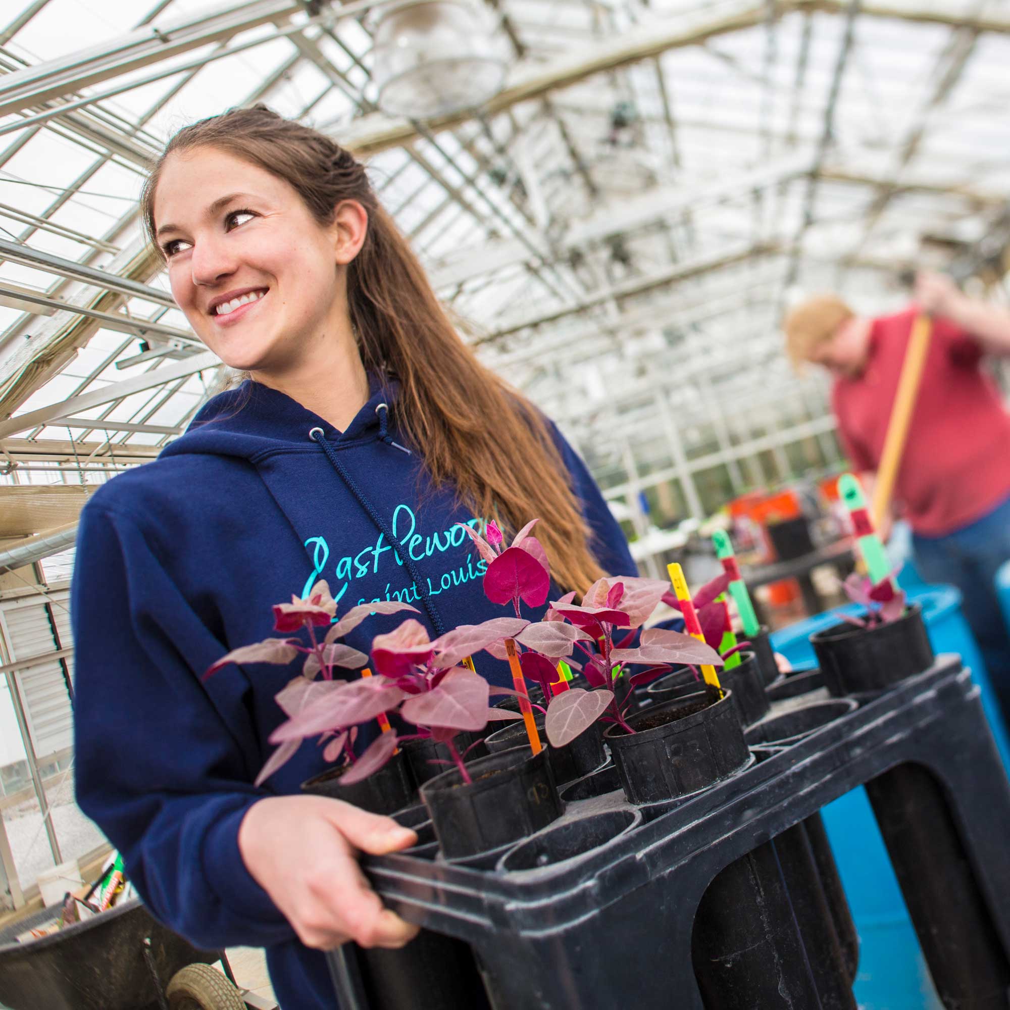 student researcher with plants in greenhouse