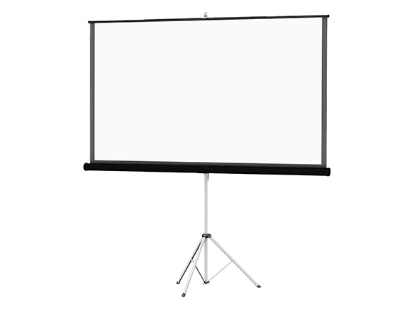 Da-Lite Portable Large Projection Screen