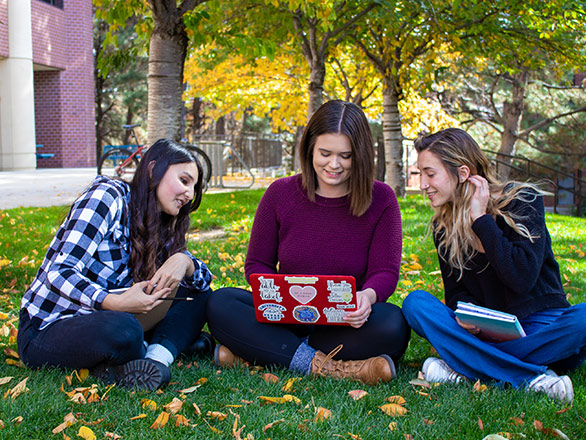Students sitting on the grass