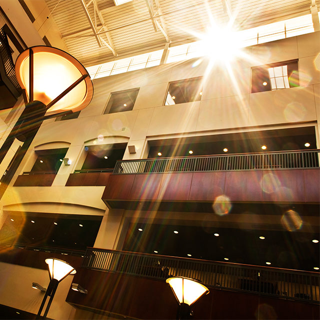 Sun shining through the upper windows in a library