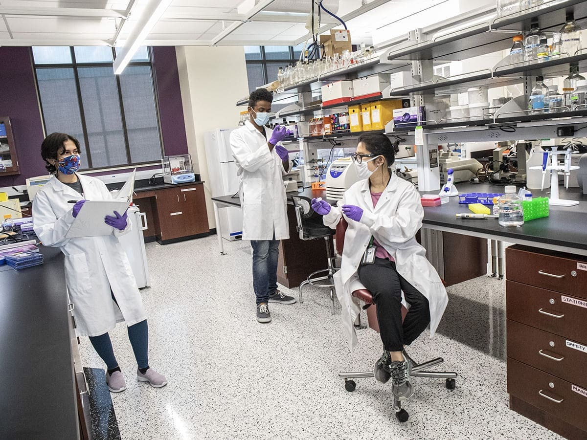 students working in chemical engineering lab