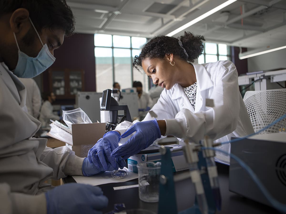 students working in chemical engineering lab