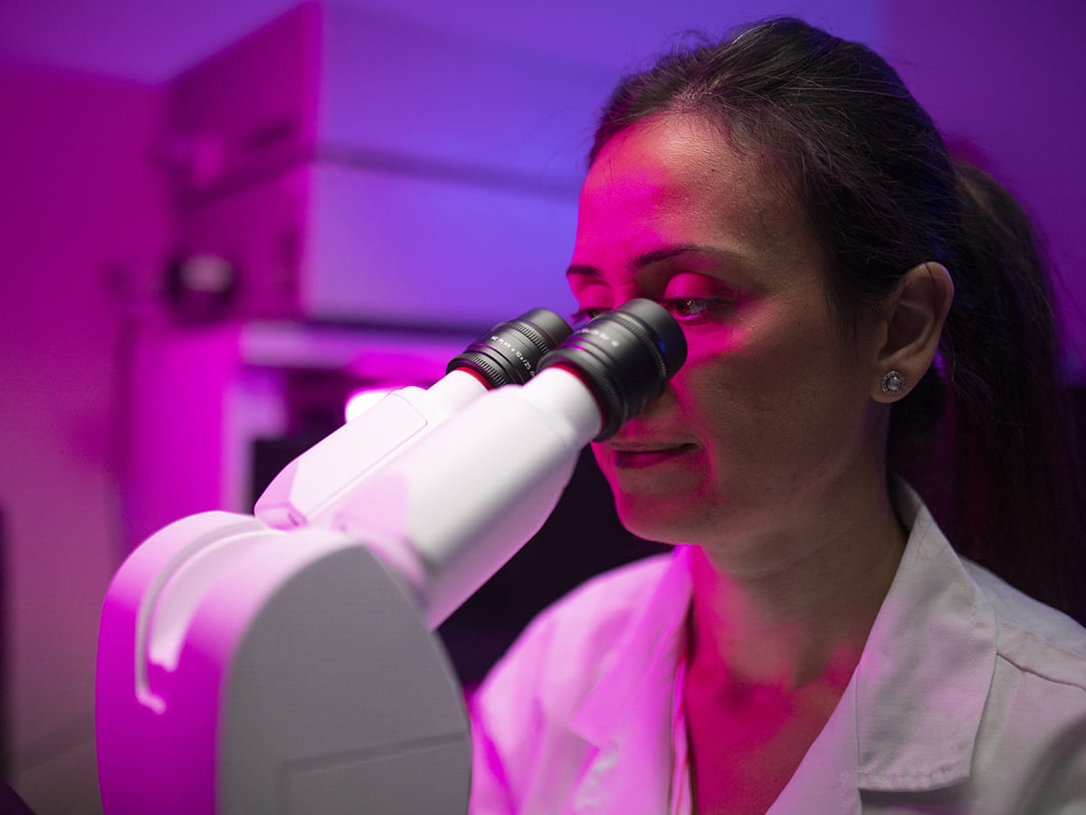 Professor looking in microscope