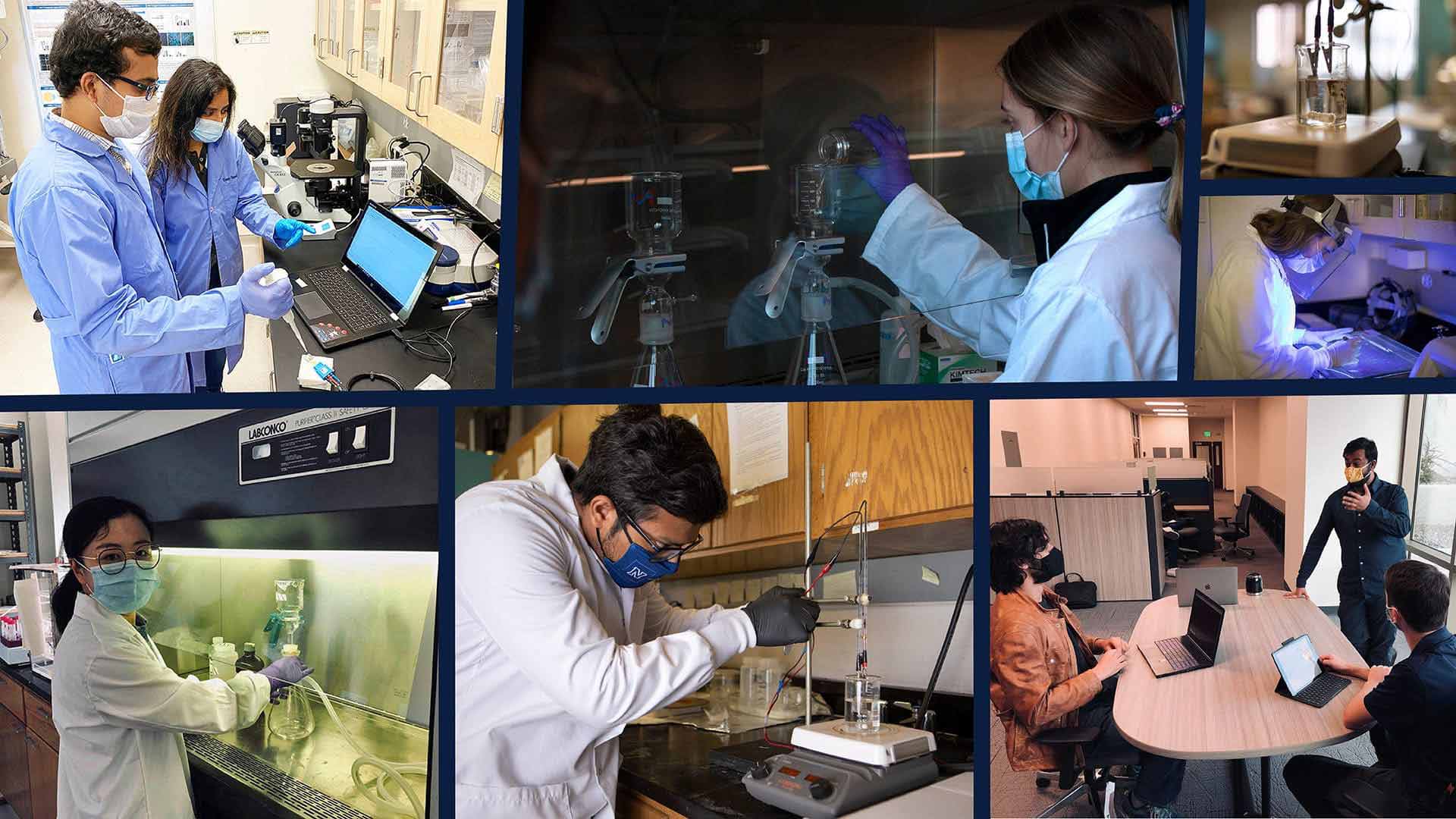 Students and Faculty working in labs and classrooms on COVID-19