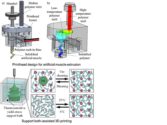 Diagram with section a and section b. Section a: Schematic of the printhead with the helical flute. Section b: Temperature distribution of the printhead to control polymer solidification.