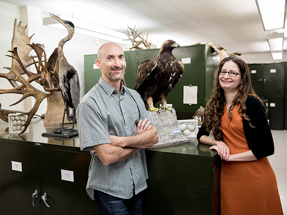 Two people stand before a collection of taxidermied animals.
