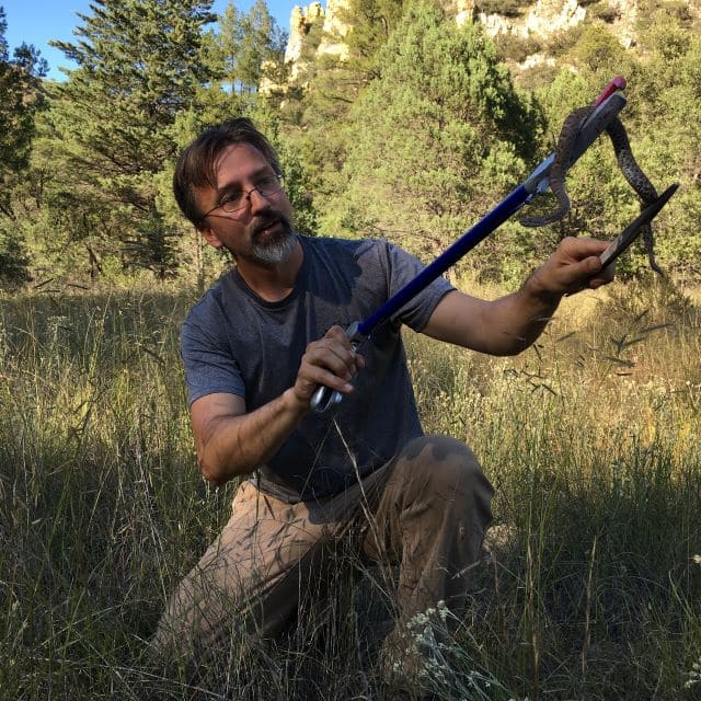 Rulon Clark catching a snake in a grassy meadow
