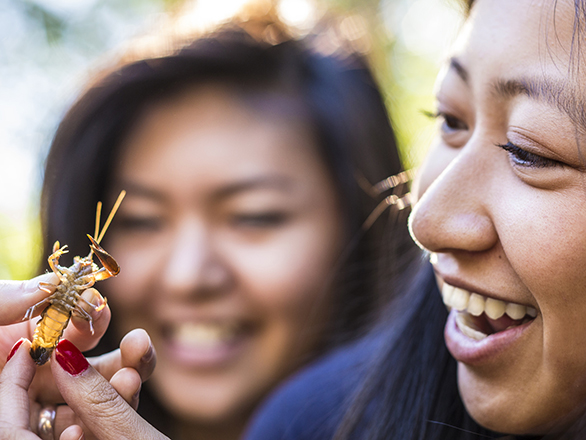 Students observing an insect