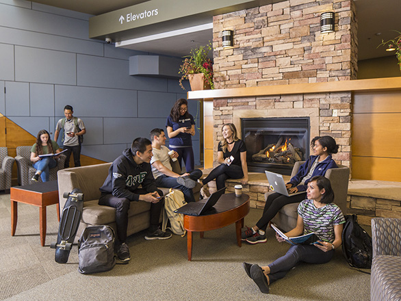 Eight students talking, relaxing and studying in the Graduate Student lounge.
