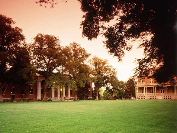View of the south quad with pinkish hues in the sunset sky.