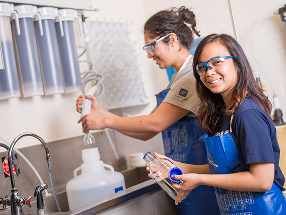 Students working in a lab