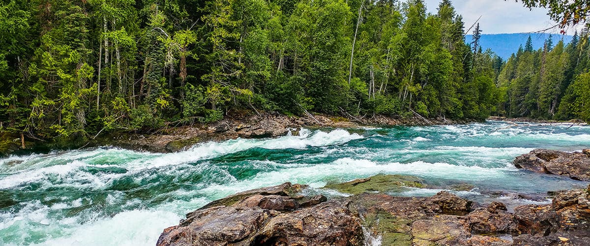 A stream cuts through rocky banks lined with pine trees.